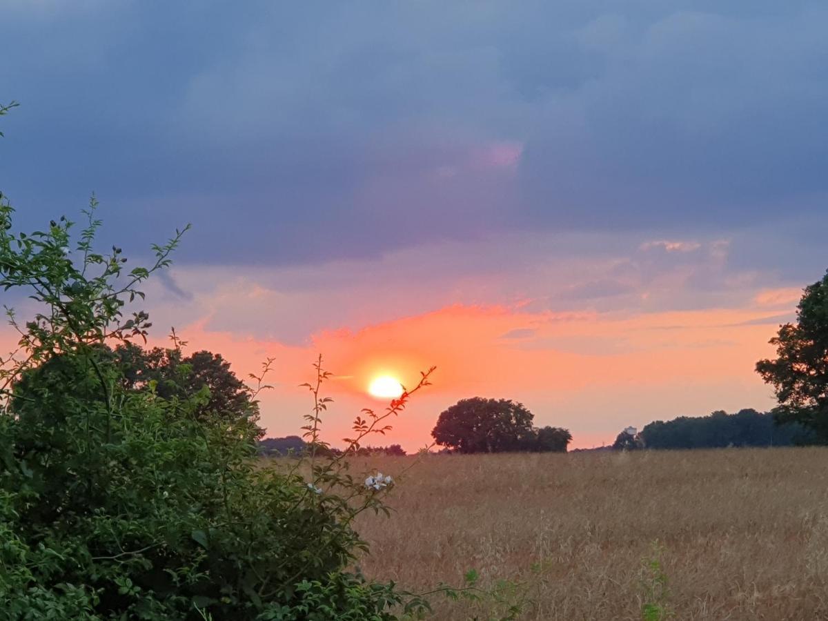 Gite De La Guernouille Luçay-le-Mâle Esterno foto